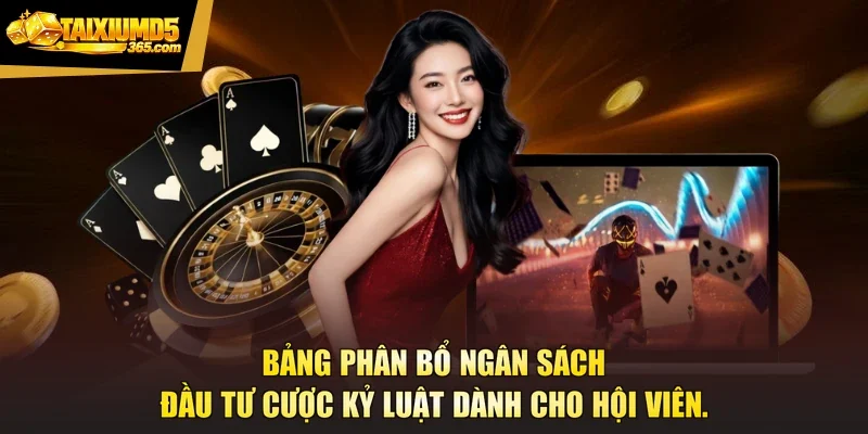 Bảng phân bổ ngân sách đầu tư cược kỷ luật dành cho hội viên.
