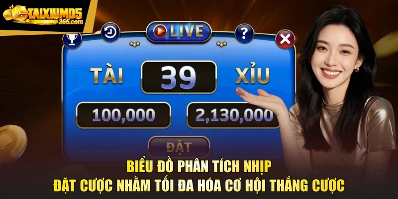 Biểu đồ phân tích nhịp đặt cược nhằm tối đa hóa cơ hội thắng cược