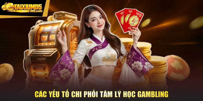 Các yếu tố chi phối tâm lý học Gambling