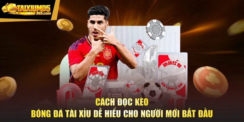 Cách Đọc Kèo Bóng Đá Tài Xỉu Dễ Hiểu Cho Người Mới Bắt Đầu