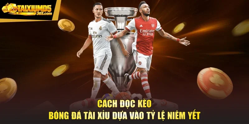 Cách đọc kèo bóng đá tài xỉu dựa vào tỷ lệ niêm yết