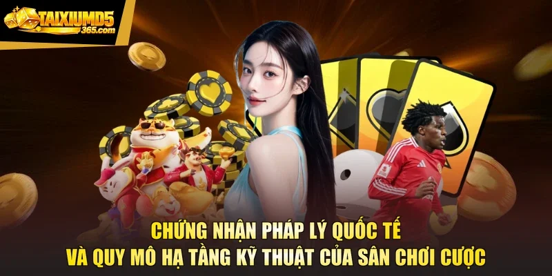 Chứng nhận pháp lý quốc tế và quy mô hạ tầng kỹ thuật của sân chơi cược