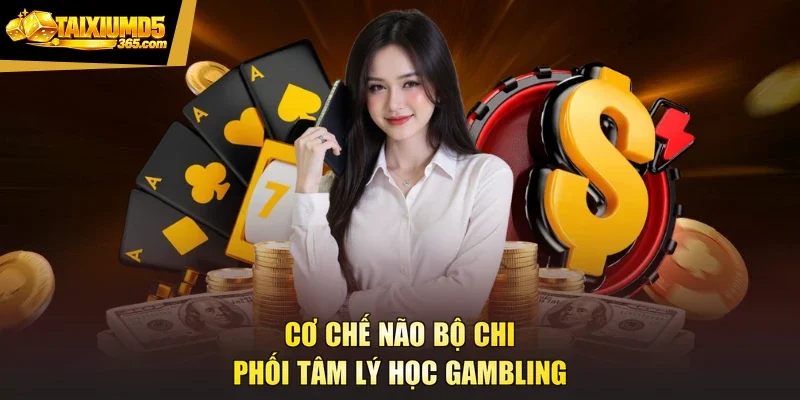 Cơ chế não bộ chi phối tâm lý học Gambling