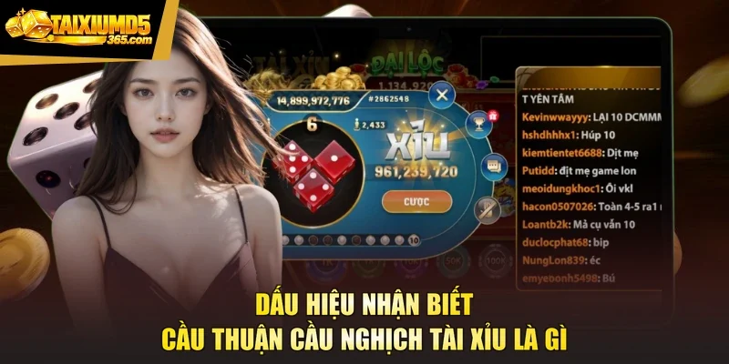 Dấu hiệu nhận biết cầu thuận cầu nghịch tài xỉu là gì