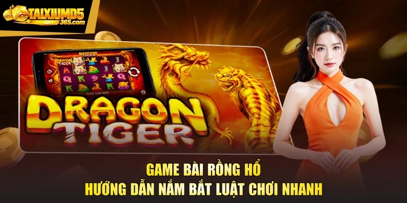 Game Bài Rồng Hổ - Hướng Dẫn Nắm Bắt Luật Chơi Nhanh