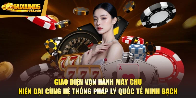 Giao diện vận hành máy chủ hiện đại cùng hệ thống pháp lý quốc tế minh bạch