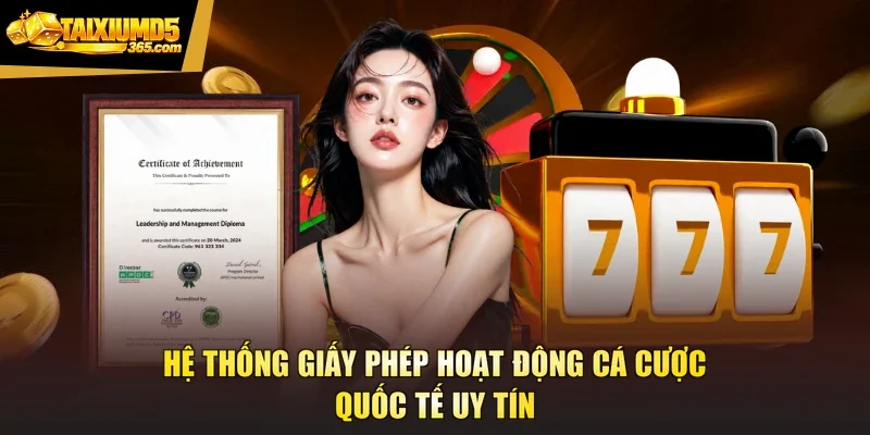 Hệ thống giấy phép hoạt động cá cược quốc tế uy tín
