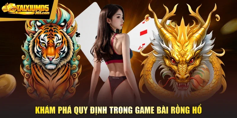 Khám phá quy định trong game bài rồng hổ