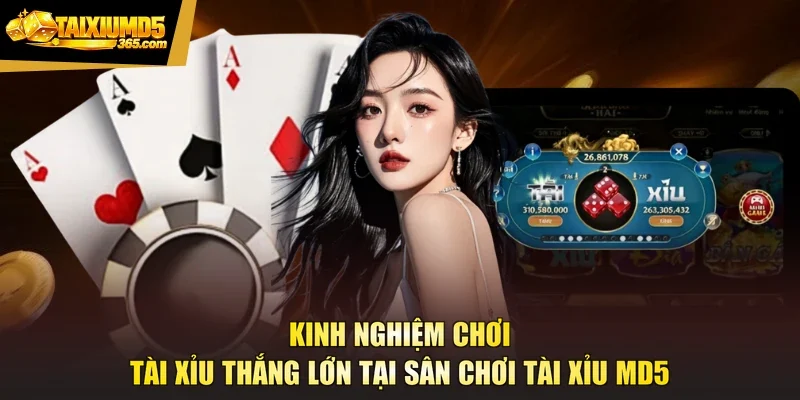 Kinh Nghiệm Chơi Tài Xỉu Thắng Lớn Tại Sân Chơi Tài Xỉu Md5