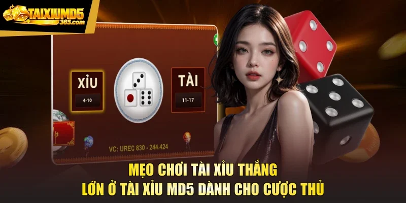 Mẹo Chơi Tài Xỉu Thắng Lớn Ở Tài Xỉu Md5 Dành Cho Cược Thủ