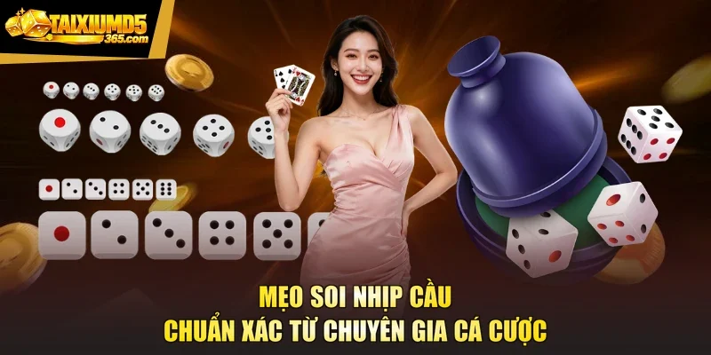 Mẹo soi nhịp cầu chuẩn xác từ chuyên gia cá cược