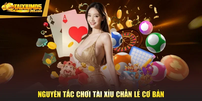 Nguyên tắc chơi tài xỉu chẵn lẻ cơ bản