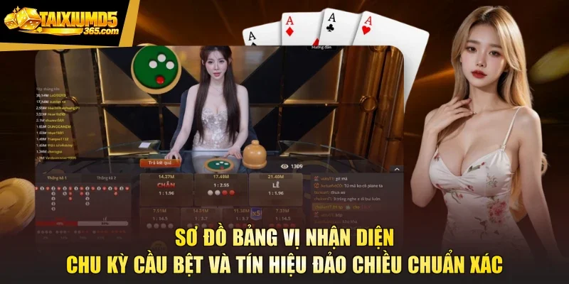 Sơ đồ bảng vị nhận diện chu kỳ cầu bệt và tín hiệu đảo chiều chuẩn xác
