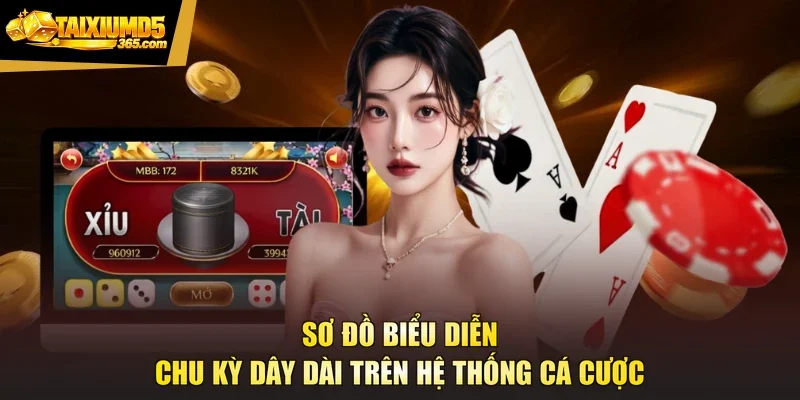 Sơ đồ biểu diễn chu kỳ dây dài trên hệ thống cá cược