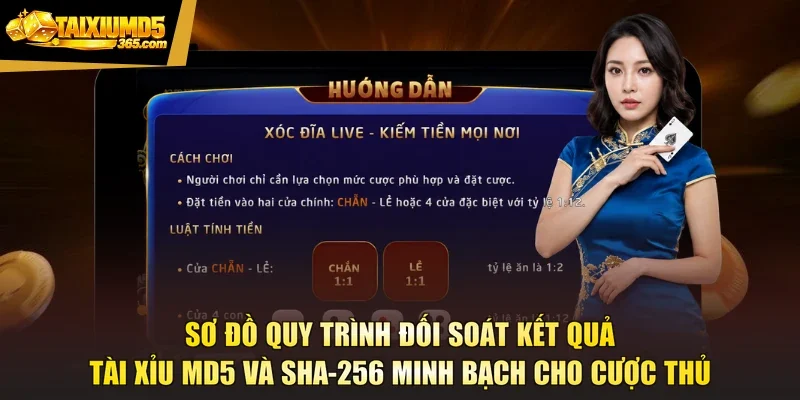 Sơ đồ quy trình đối soát kết quả tài xỉu MD5 và SHA-256 minh bạch cho cược thủ