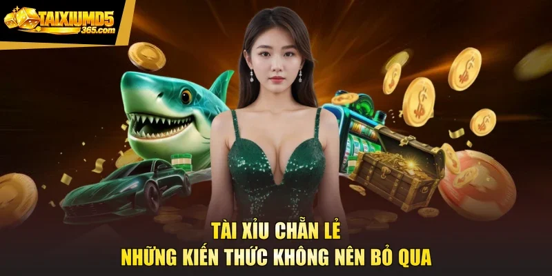 Tài Xỉu Chẵn Lẻ - Những Kiến Thức Không Nên Bỏ Qua