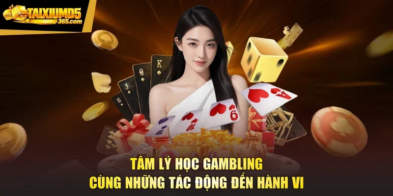 Tâm Lý Học Gambling Cùng Những Tác Động Đến Hành Vi