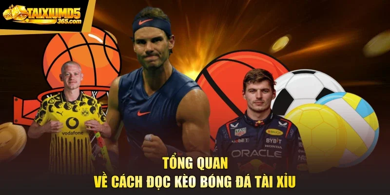 Tổng quan về cách đọc kèo bóng đá tài xỉu